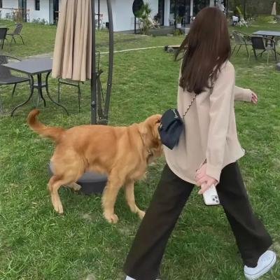 小叮当与海盗仙子